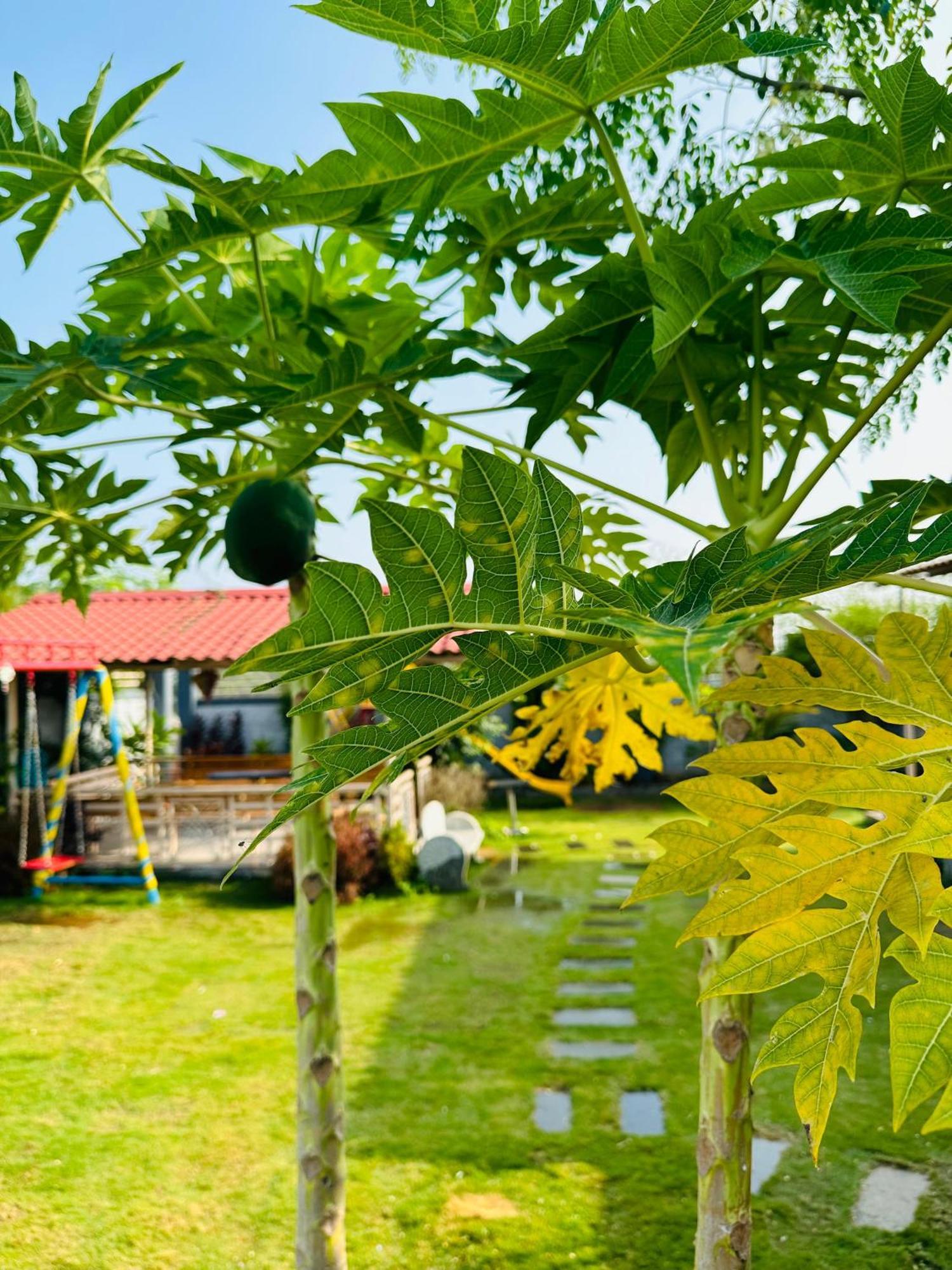 Pk Sahara Farm Stay Mysore Esterno foto